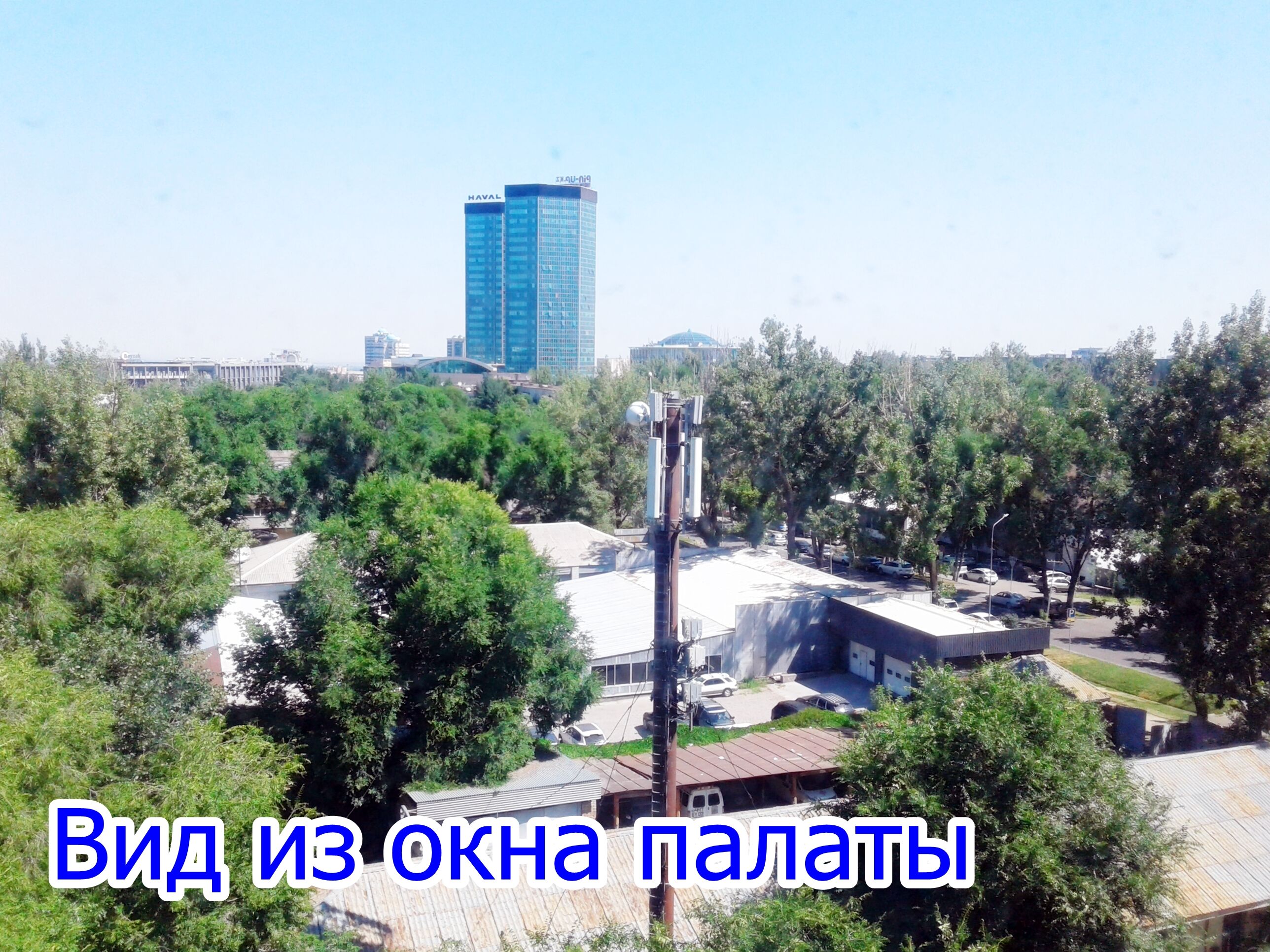 Щербаков Дмитрий Олегович feeds item